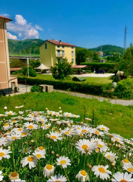 Ca’ de natta — foto 6