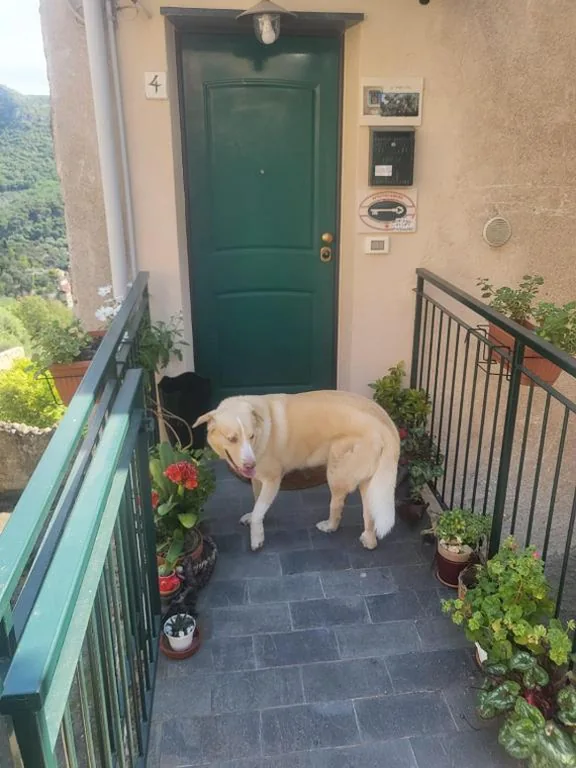 Cà degli Ulivi — foto 3