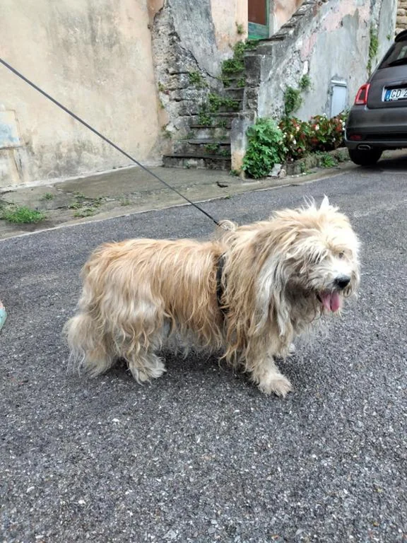 Cà degli Ulivi — foto 6