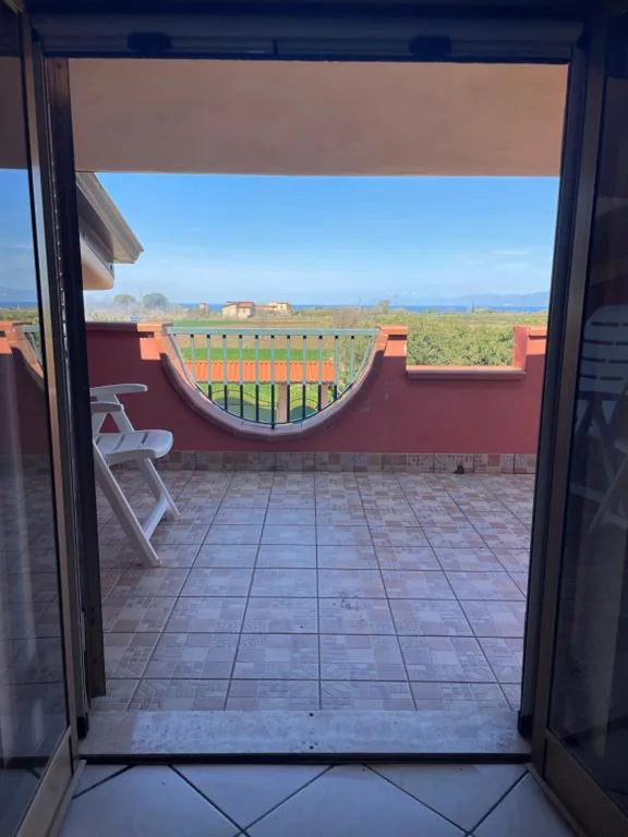 B&B Le Palme San Costantino — foto 5