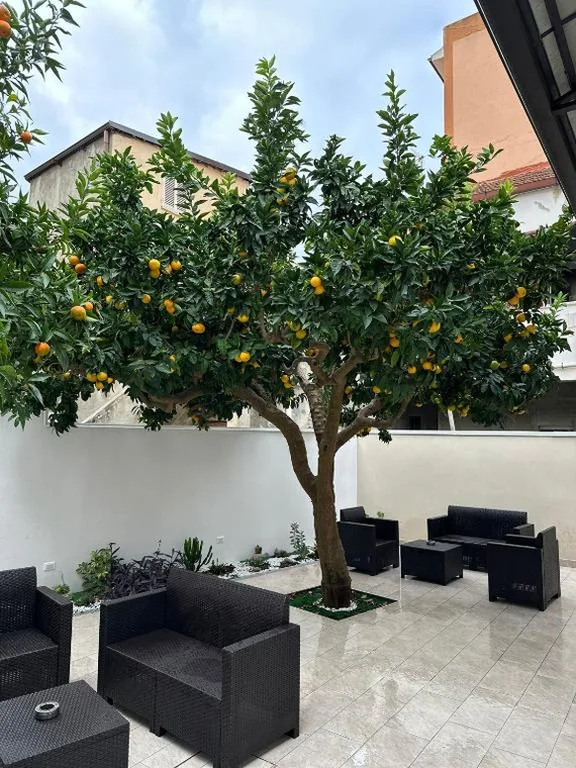 B&B Villa Soleil — foto 7