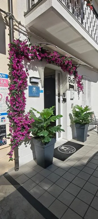 Il Vico del Greco B&B — foto 6
