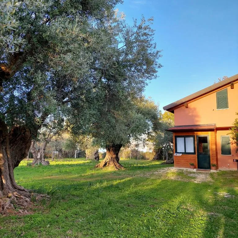 La Piana degli Ulivi — foto 3