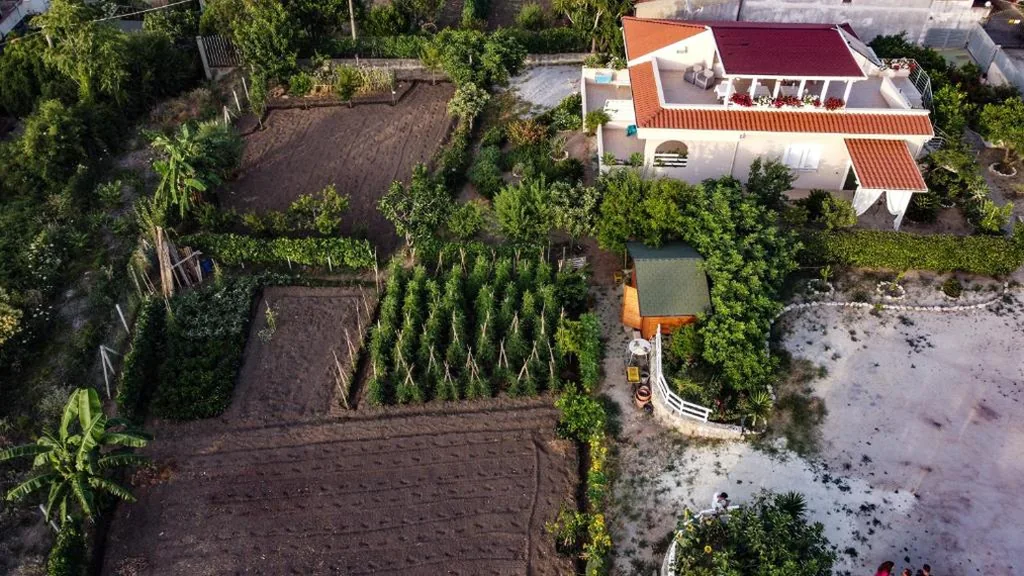 Michelino House — foto 5