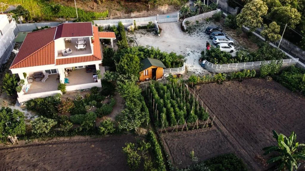 Michelino House — foto 7