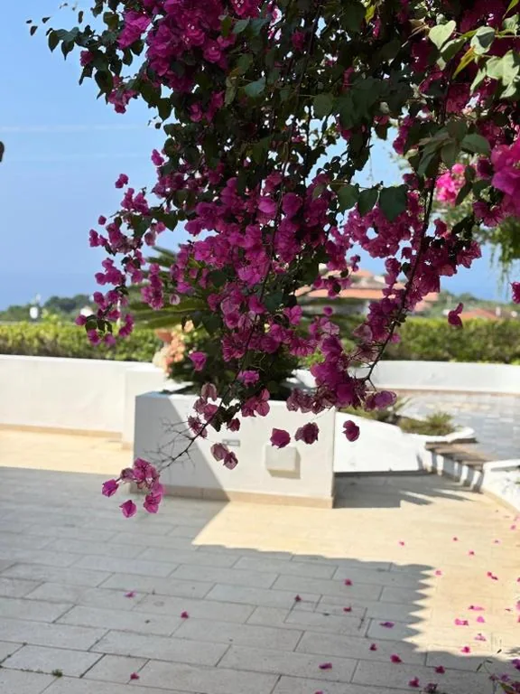 Villa Kore, Capo Vaticano — foto 7