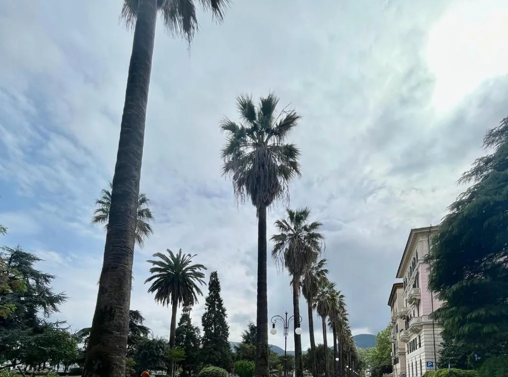 Deluxe Room — BREATHE LIGURIA – LUCY 1 bedroom and 1 apartment in a newly renovated nineteenth-century building in the historic center near the sea