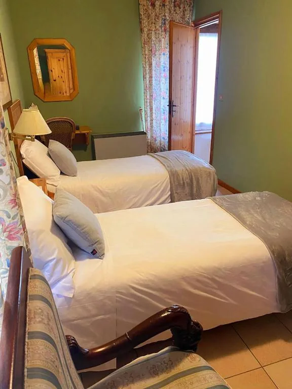 Twin Room with Bathroom — Hotel Lion