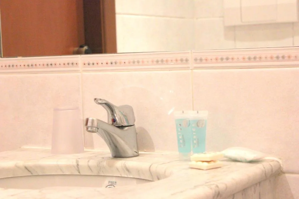 Double Room with Twin Beds — Hotel Romulus