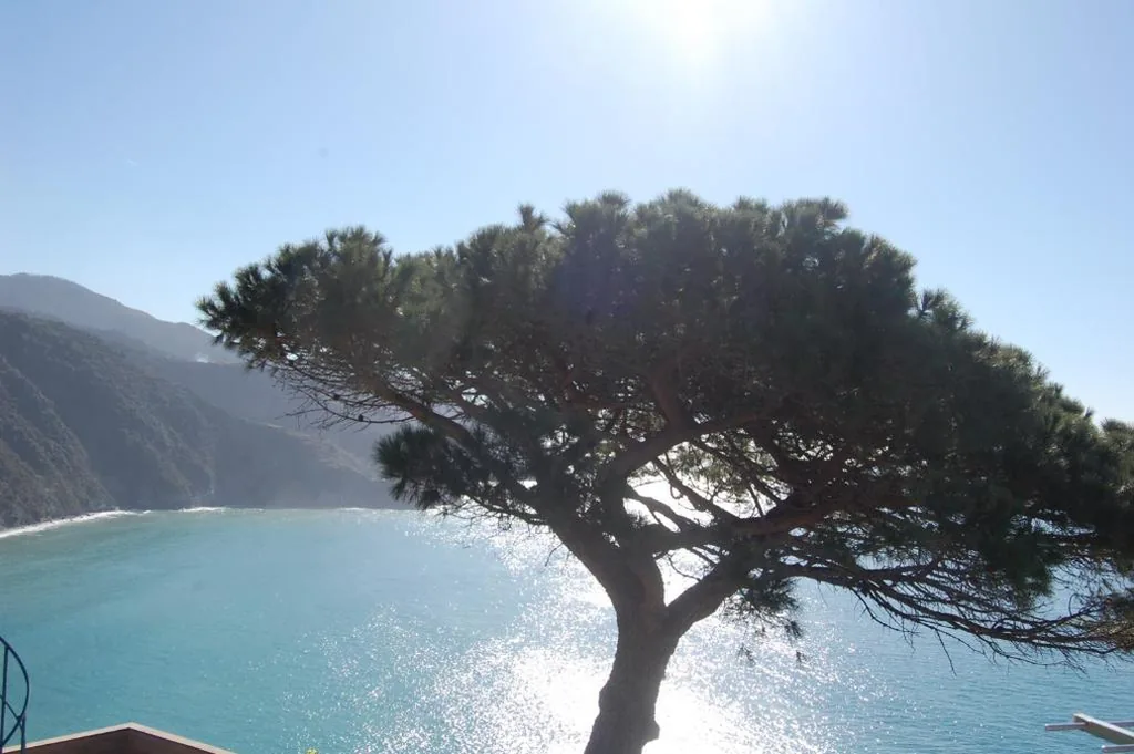 Camera King Deluxe — Corniglia Dreams