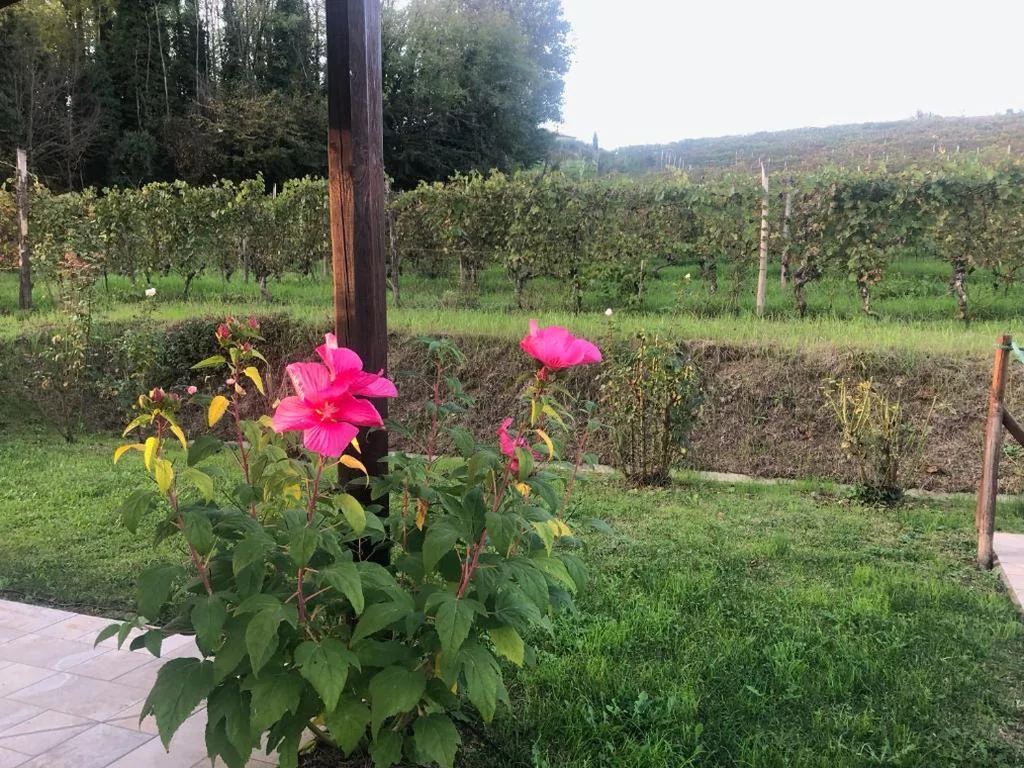 Camera Matrimoniale — Cascina Dani