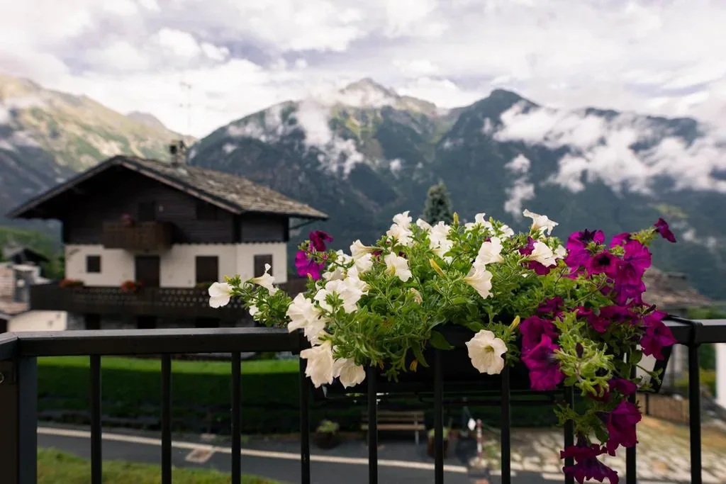 Double Room with Mountain View — l’Oura B&B