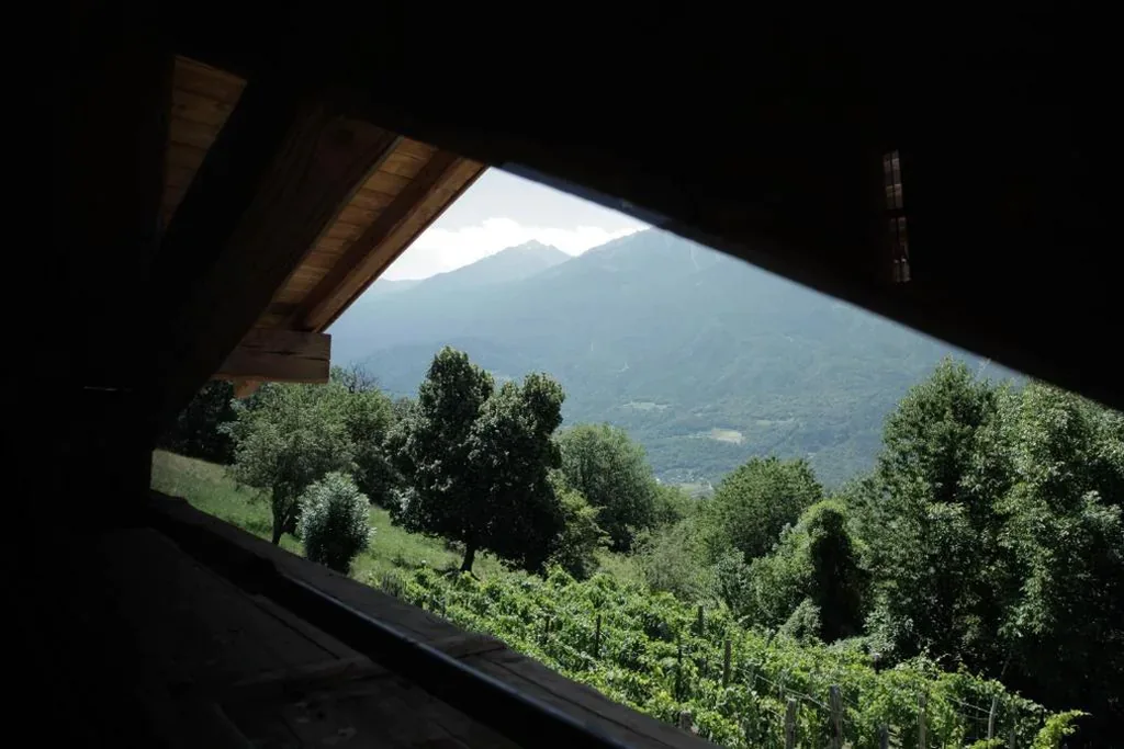 Double Room with Mountain View — La casa di paglia B&B