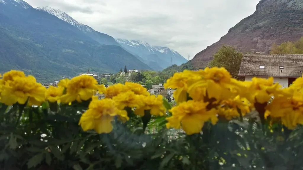 Camera Matrimoniale con Vista Montagna — Le Lierre