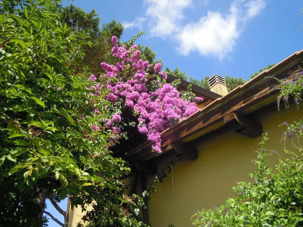 Camera Matrimoniale con Vista Parco — Casa Vacanze Vigna di Valle