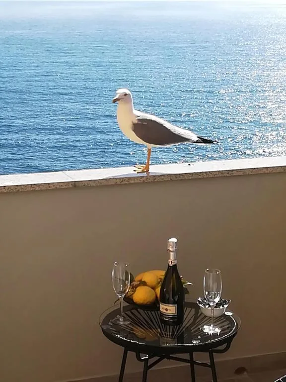 Deluxe Double Room with Balcony — Alex Room