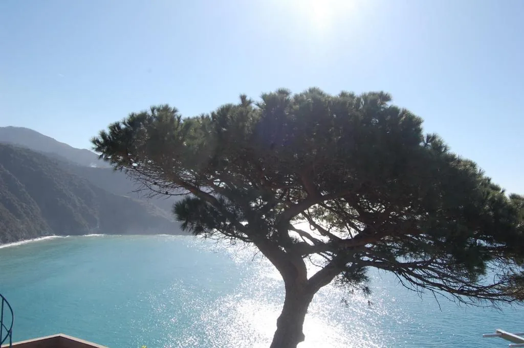 Camera Matrimoniale Economy — Corniglia Dreams