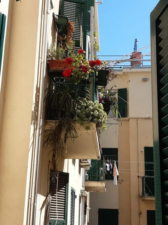 Camera Matrimoniale Economy — Hotel Guesthouse MASSENA