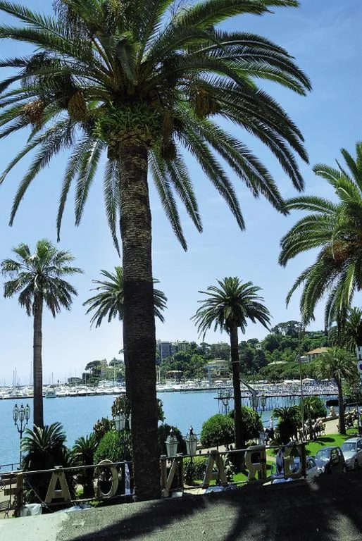 Camera Matrimoniale Fronte Mare — Hotel Miro’