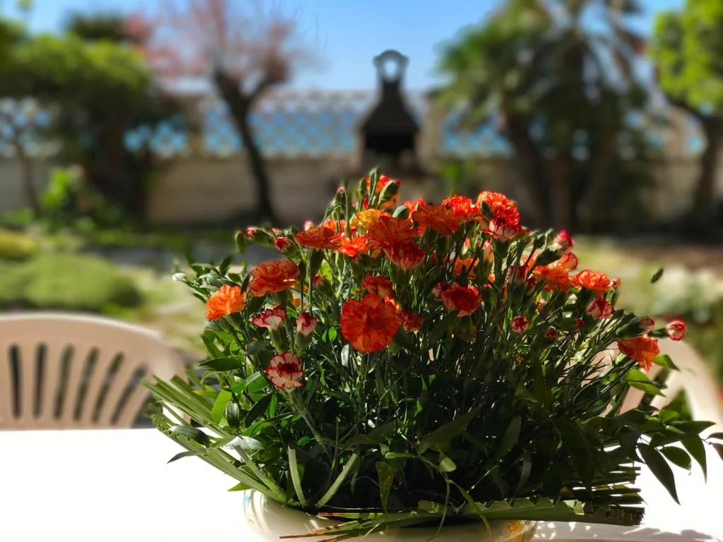 Camera Matrimoniale — il giardino sul mare B&B