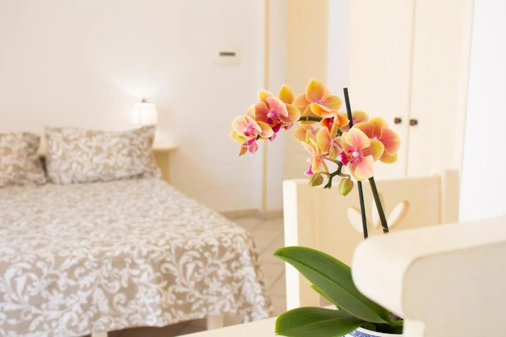 Camera Matrimoniale — LA CASA DEL SOLE – Beachfront B&B – Anzio