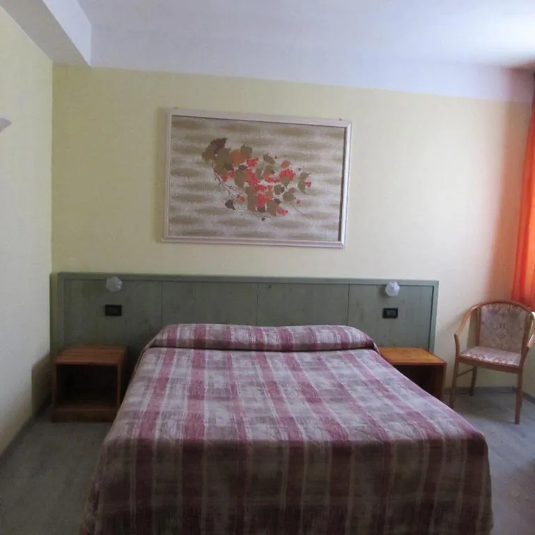Standard Double Room — Hotel Alpi Del Mare