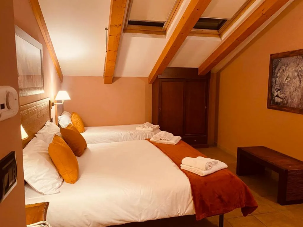 Superior Double Room — Hotel Lion