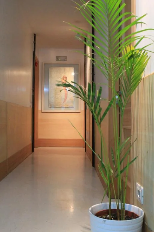 Single Room — A Casa Di Penelope