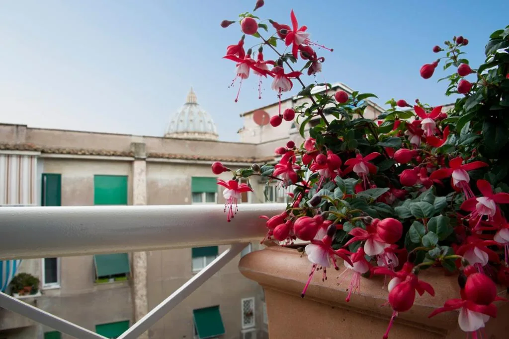 Camera Singola con Balcone — Di Fronte alla Cupola