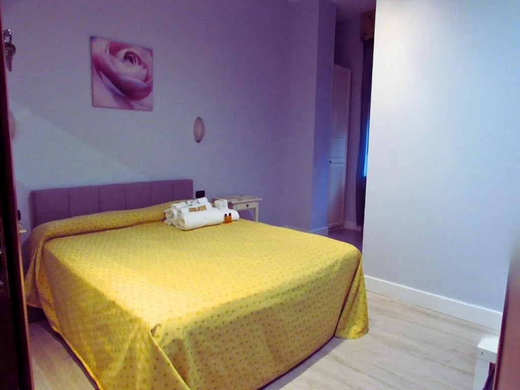Economy Single Room — Hotel Ponte Sassi