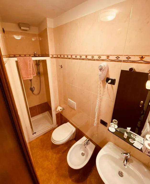 Economy Single Room — Hotel Romagna