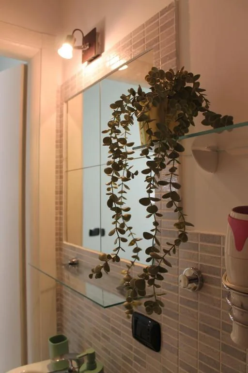 Single Room — Guest House Esty