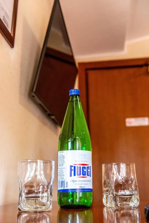 Single Room — Hotel Dei Pini