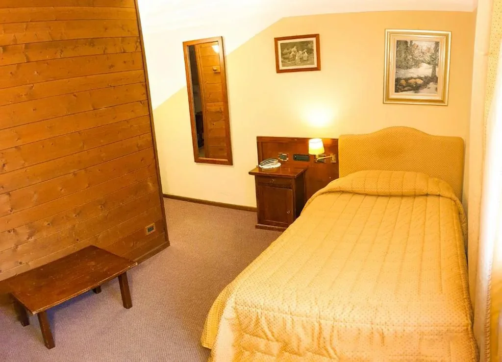 Standard Single Room — Hotel Des Alpes