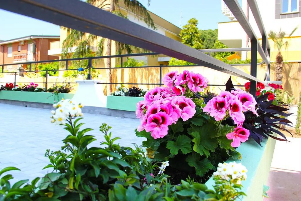 Camera Singola Standard — Hotel Villa Chiara