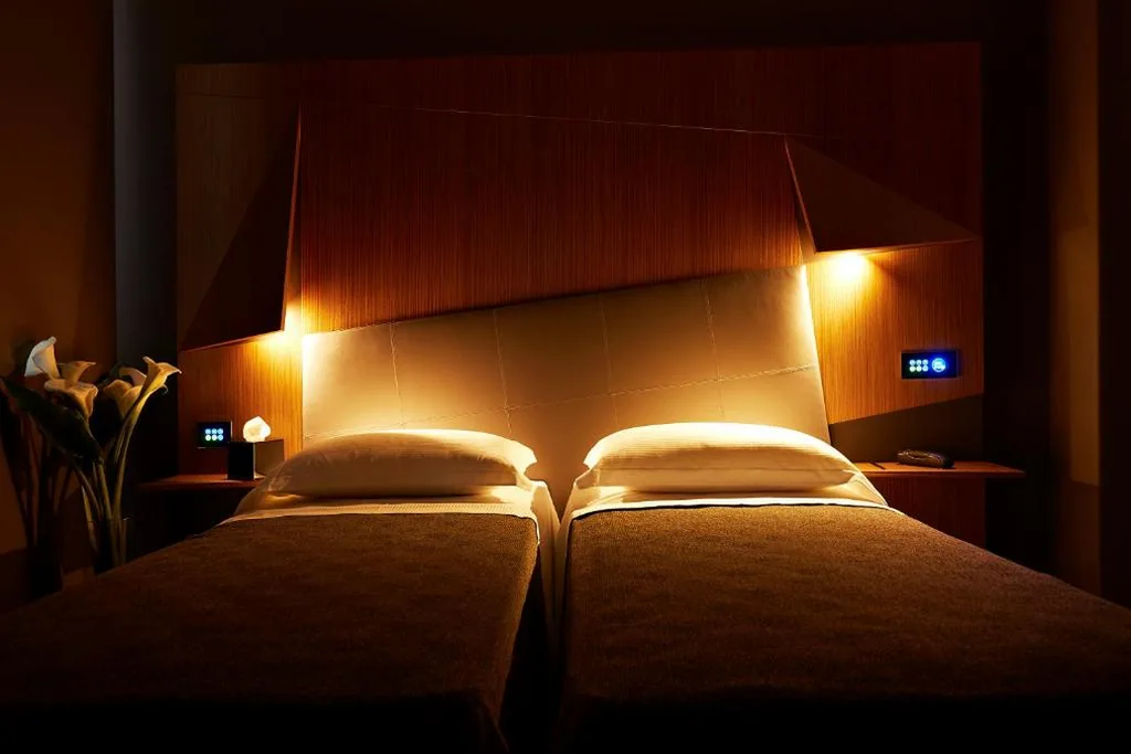 Superior Double/Twin Room with Terrace — Hotel The Building