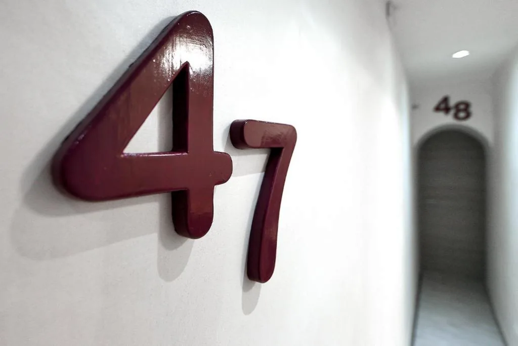 Camera Tripla Classic — 47 Steps
