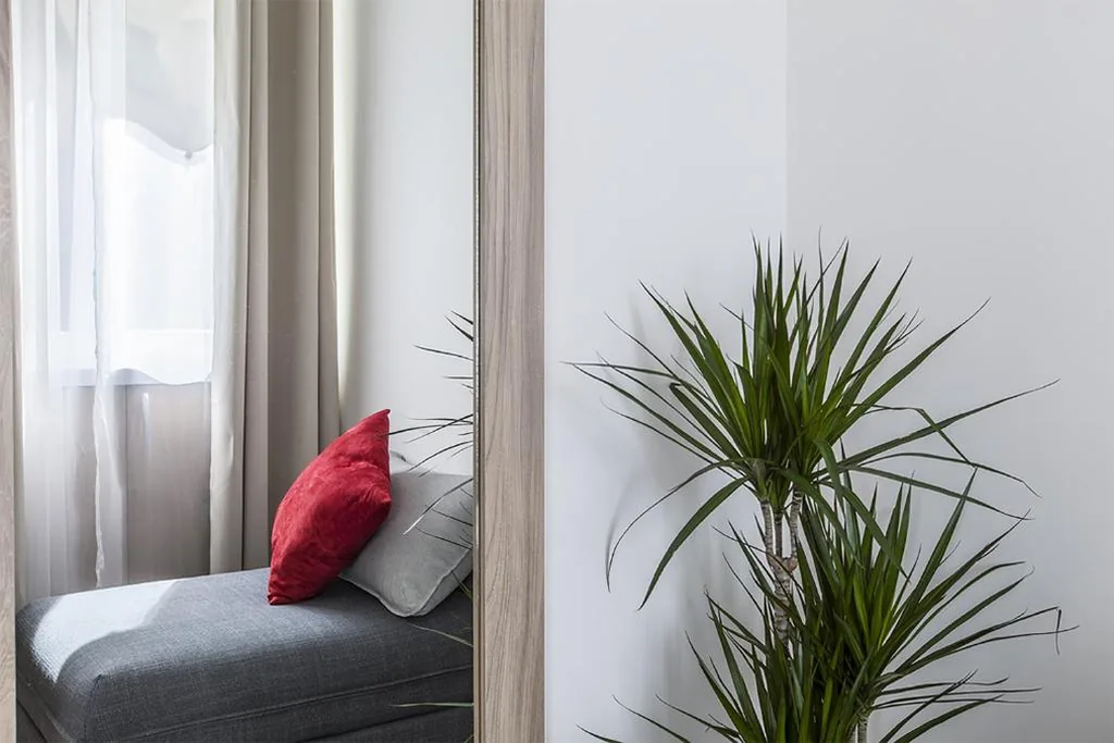 Comfort Triple Room — La Palma