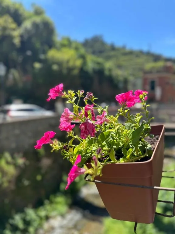 Camere Fontanavecchia — foto 5