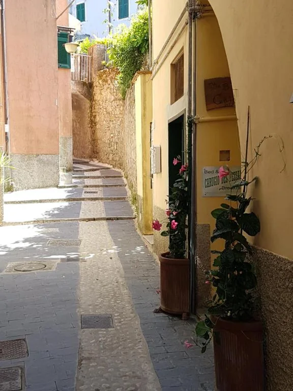 carugio del fezzano — foto 8