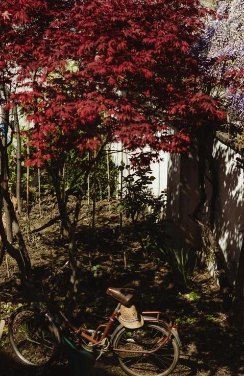 Casa Barbabuc — foto 4