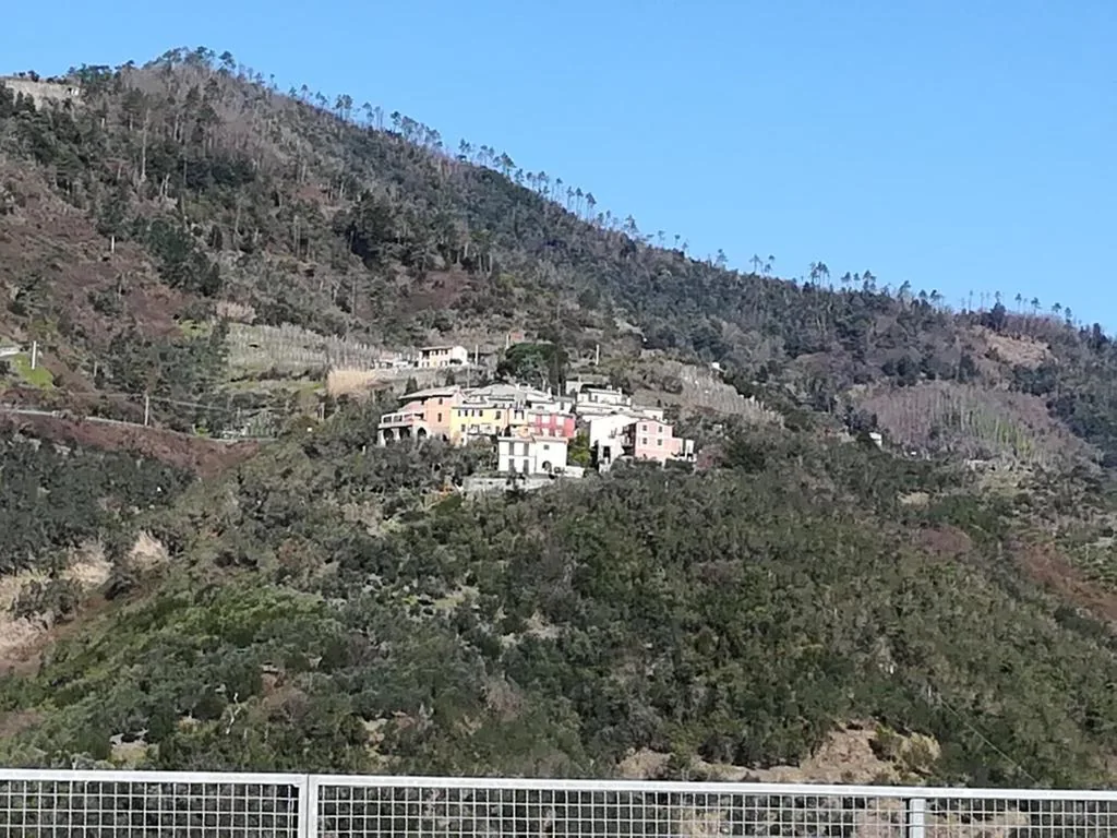 Casa Burrasca — foto 8