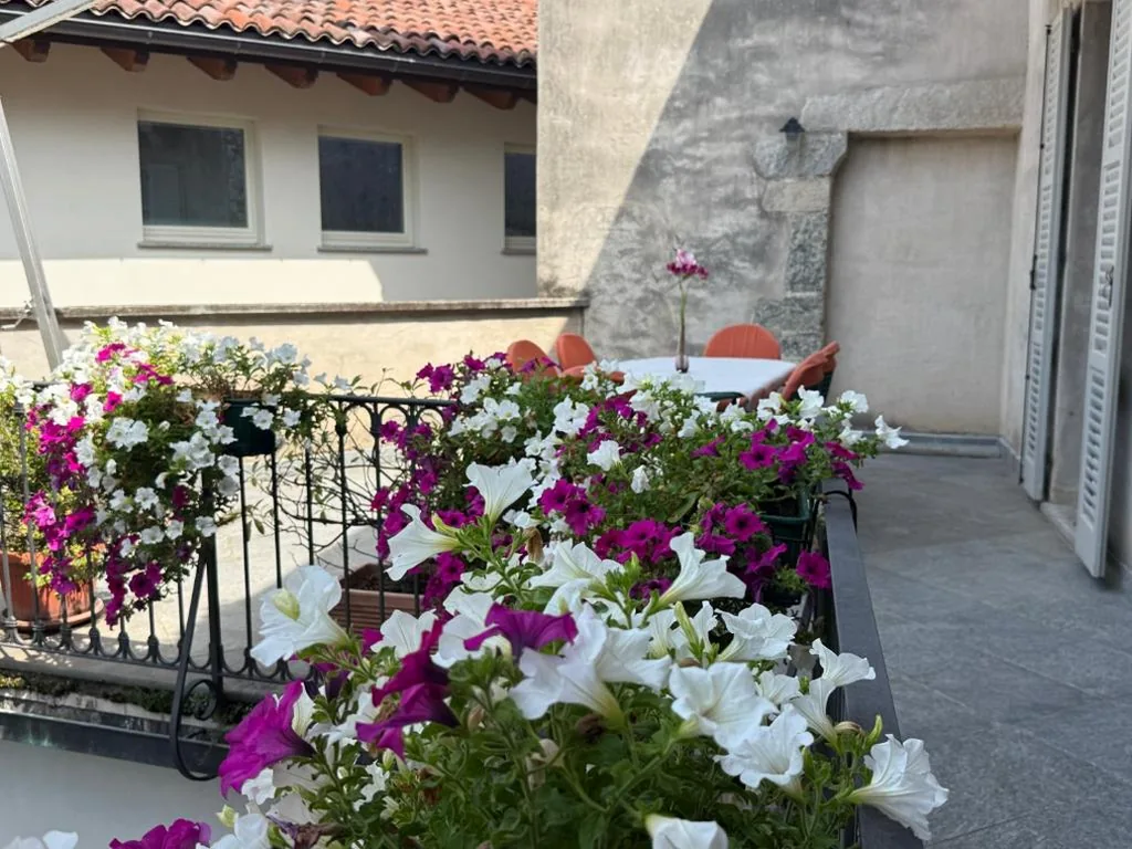 Casa Cannobio — foto 8