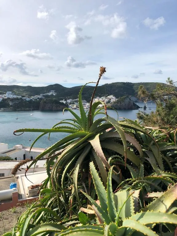 Casa Carmela — foto 8