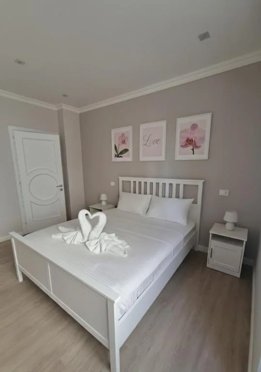 One-Bedroom House — Olive tree’s house