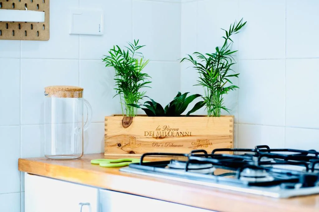 Casa con 1 Camera da Letto — PLANT HOUSE Roma San Paolo