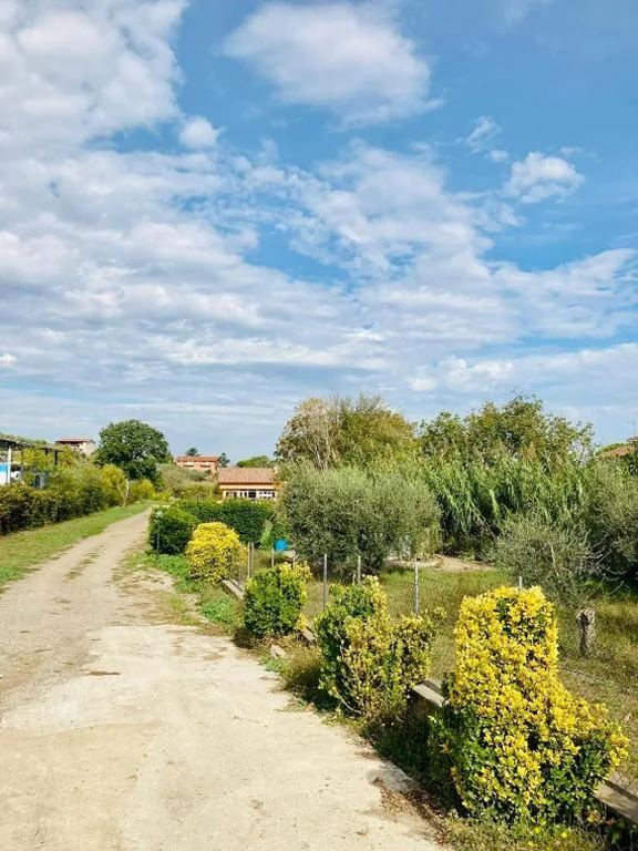1-Bedroom House — Villa Bubù, Appartamento Country-chic