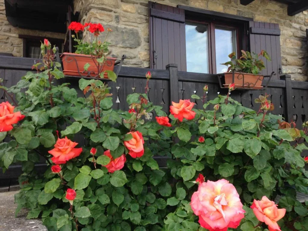 House with 2 Bedrooms — Dimora tra le Alpi – cir n 0004
