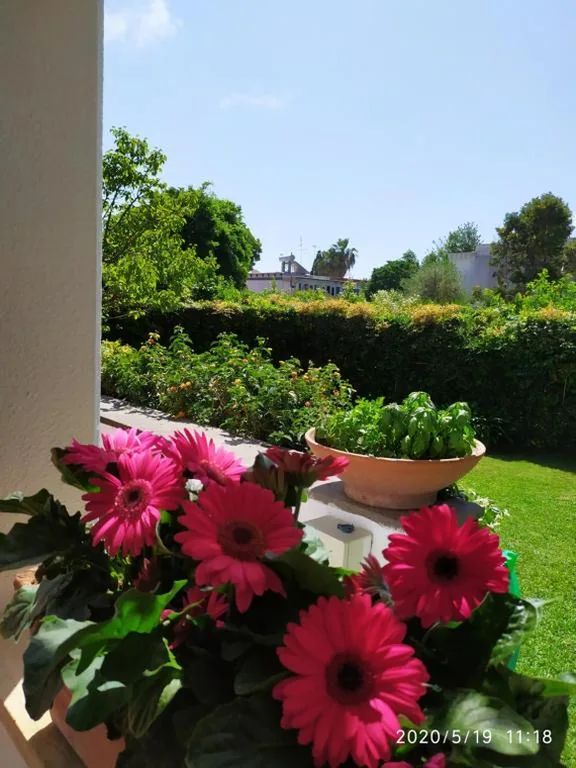 Casa de la Luna — foto 5