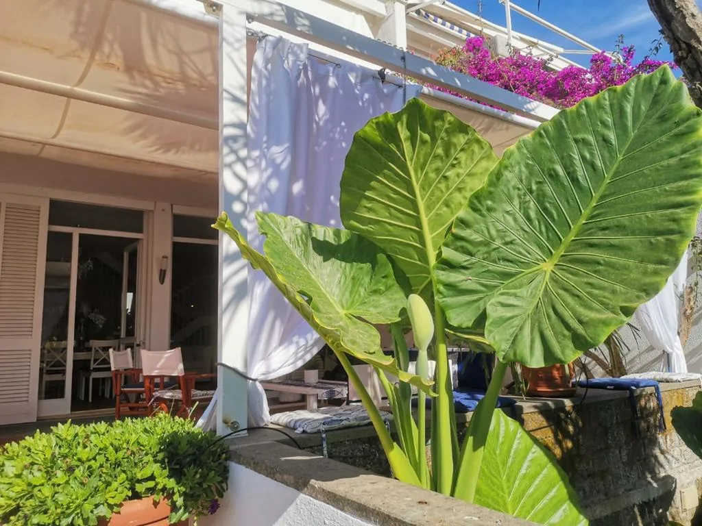 Casa de la Luna — foto 6